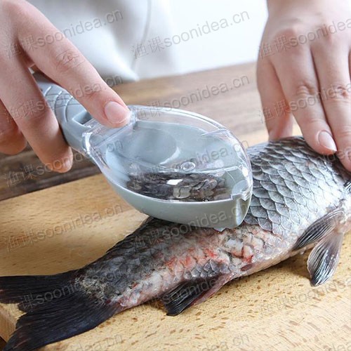 Mess-Free Fish Scale Remover